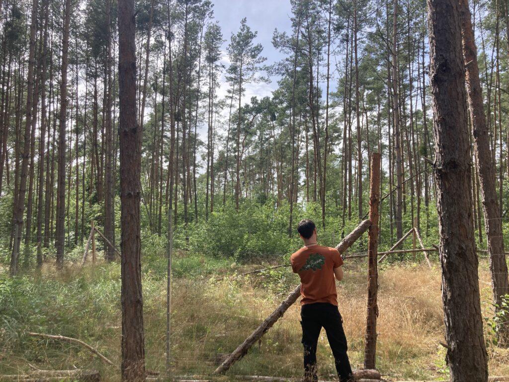 Mitarbeiter steht vor Wald in Brandenburg